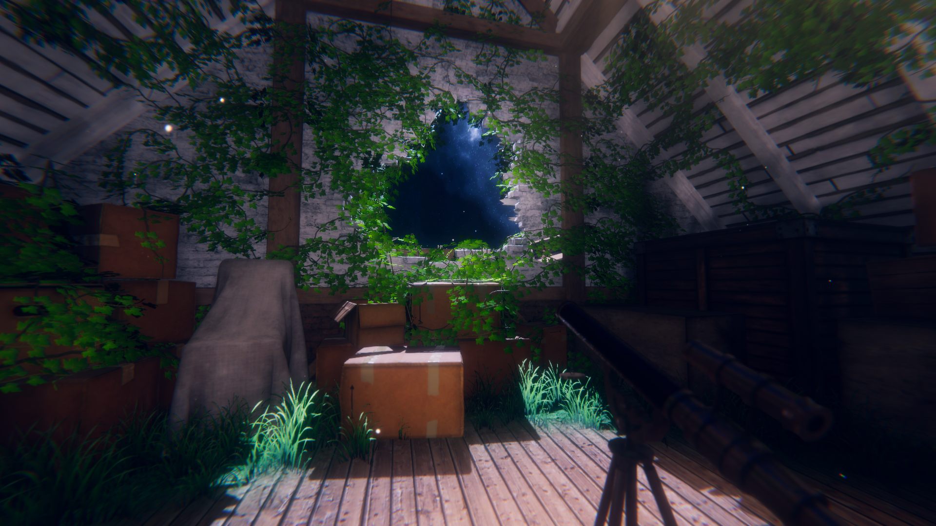 VR and VRC project preview
